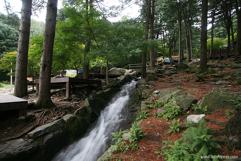 서울근교 드라이브