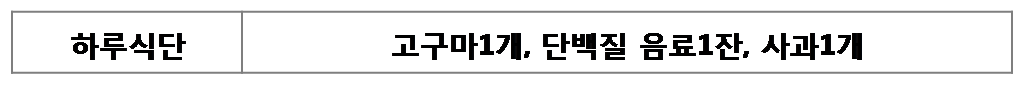다이어트 식단