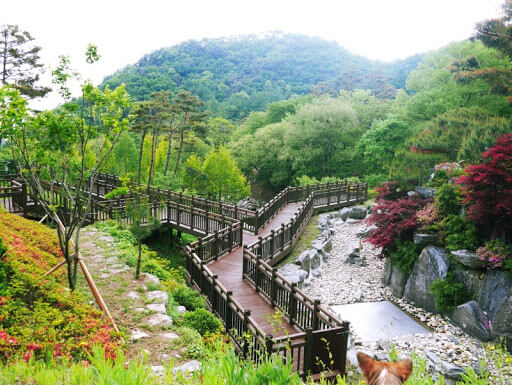 양평 가볼만한 곳