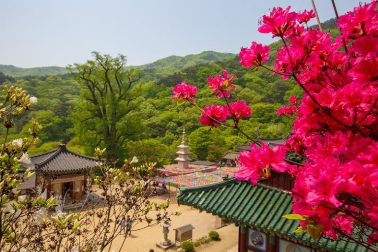 양평 가볼만한 곳
